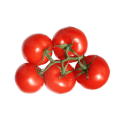 Tomatoes