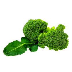 Brocolli