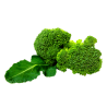 Brocolli