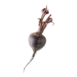Beetroot