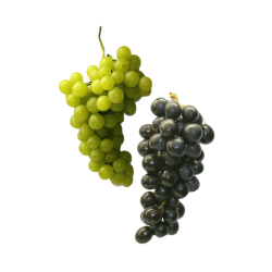 Green and Black Grapes