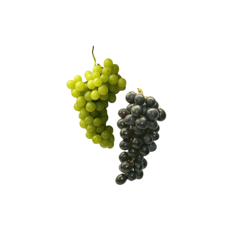Green and Black Grapes