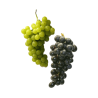 Green and Black Grapes